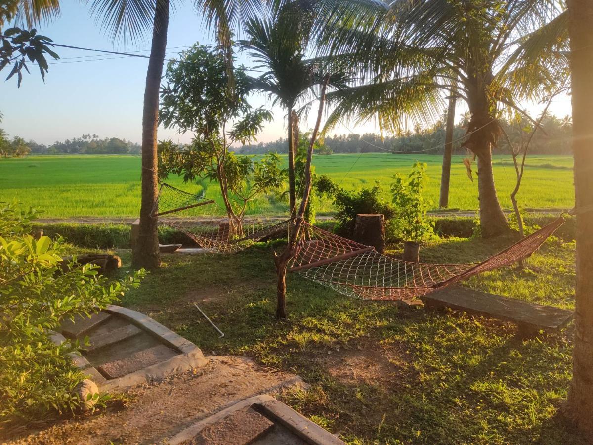 Village Mango Yala Hotel *