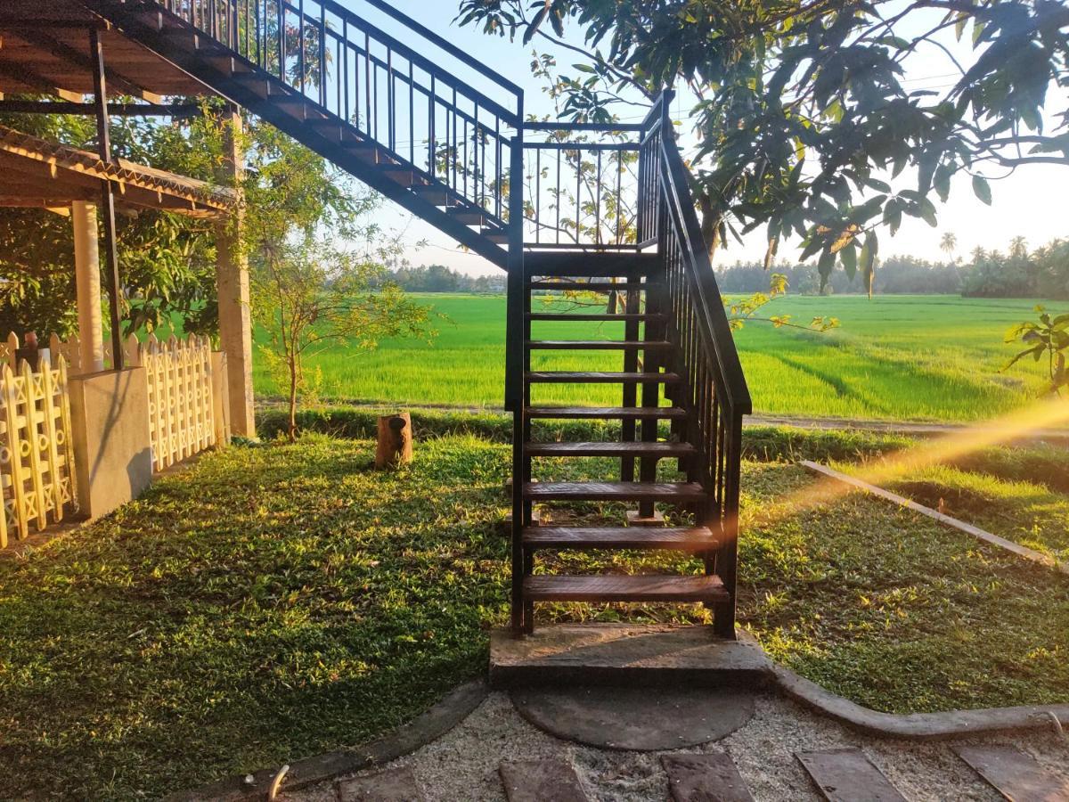 Village Mango Yala Hotel