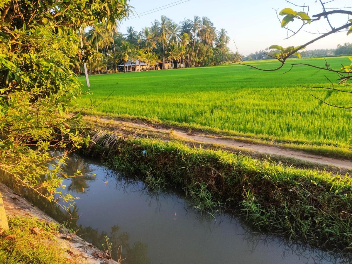 Village Mango Yala