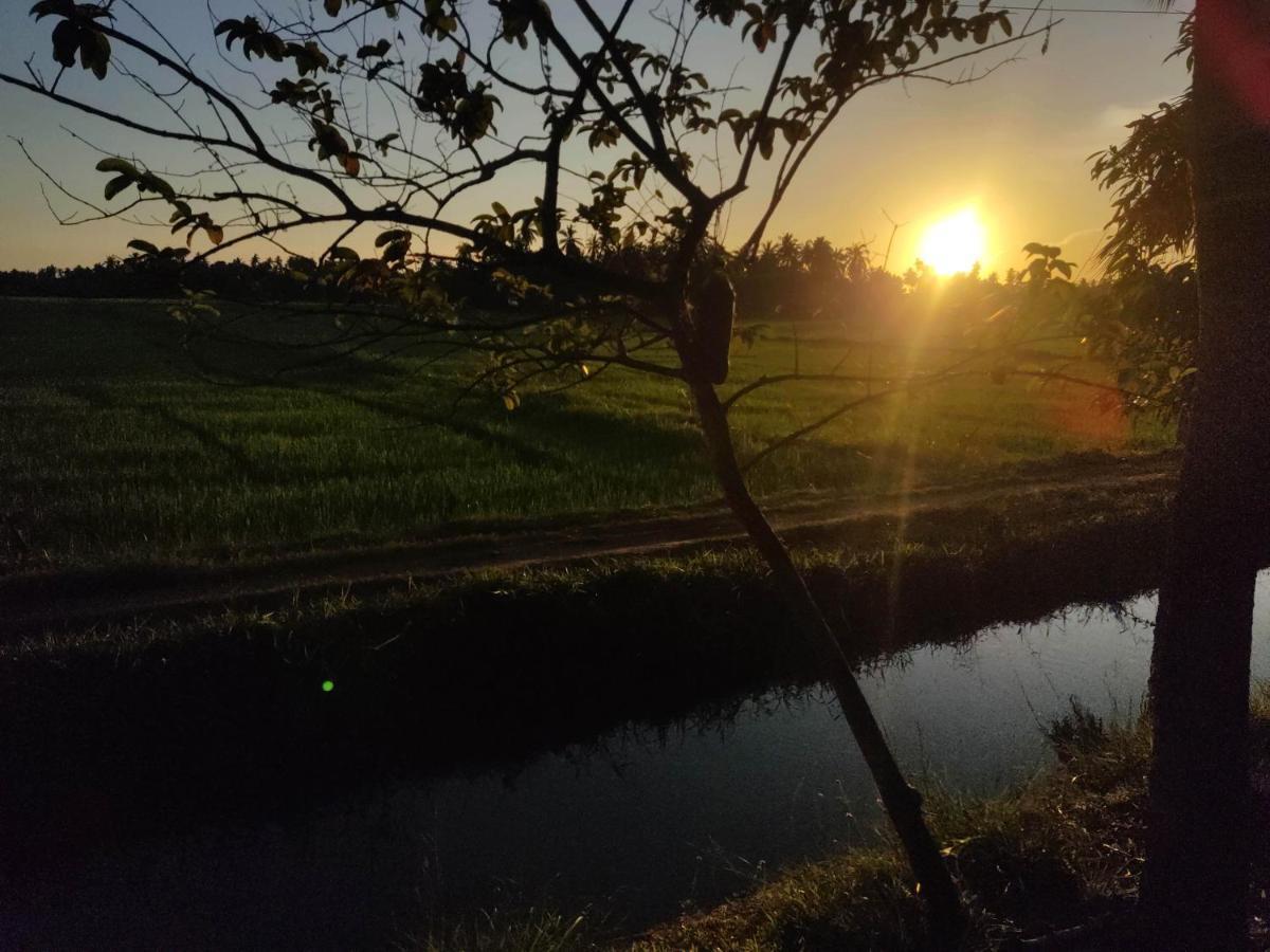 Village Mango Yala Tissamaharama