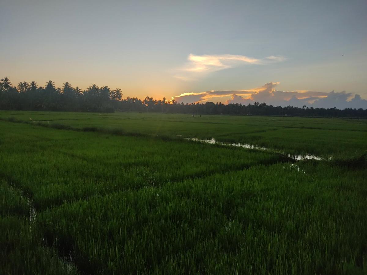 Village Mango Yala *
