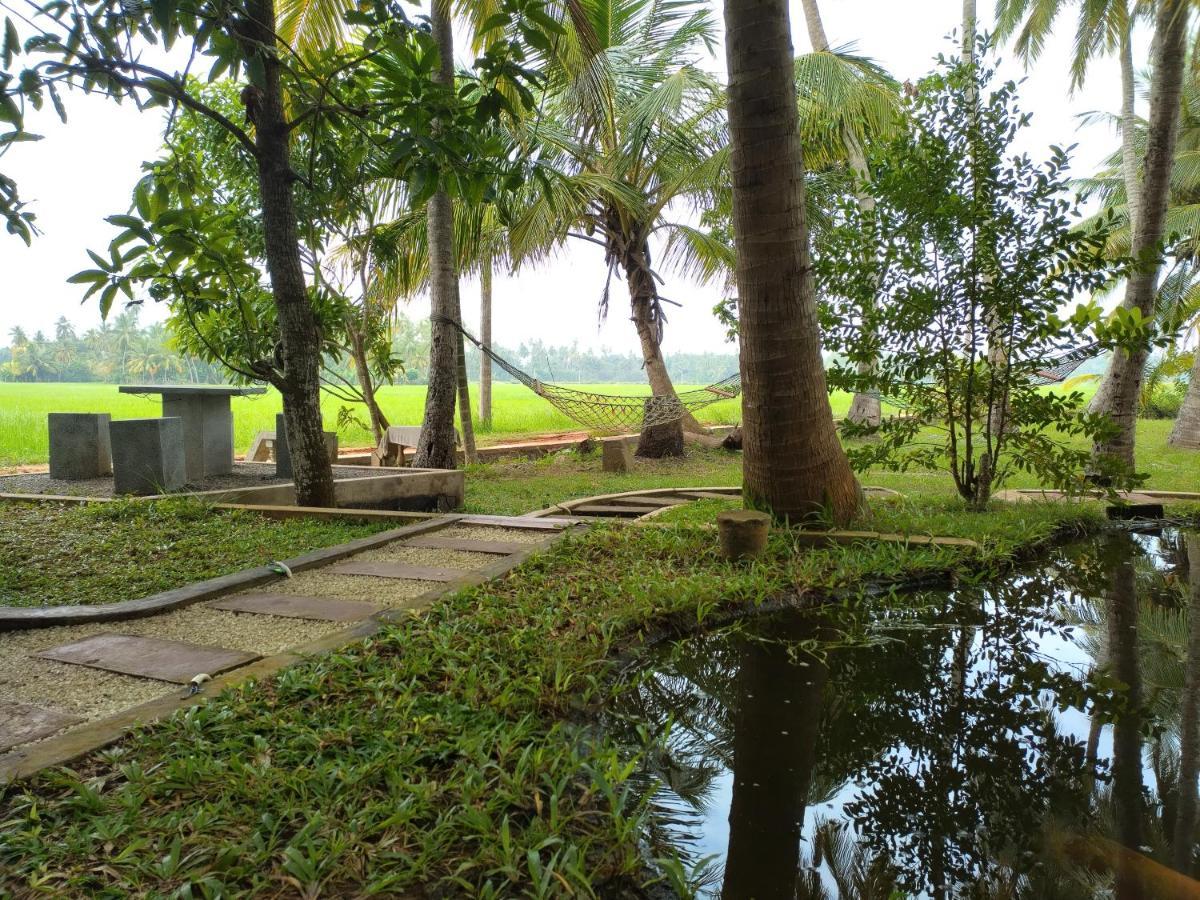 Village Mango Yala Hotel Tissamaharama