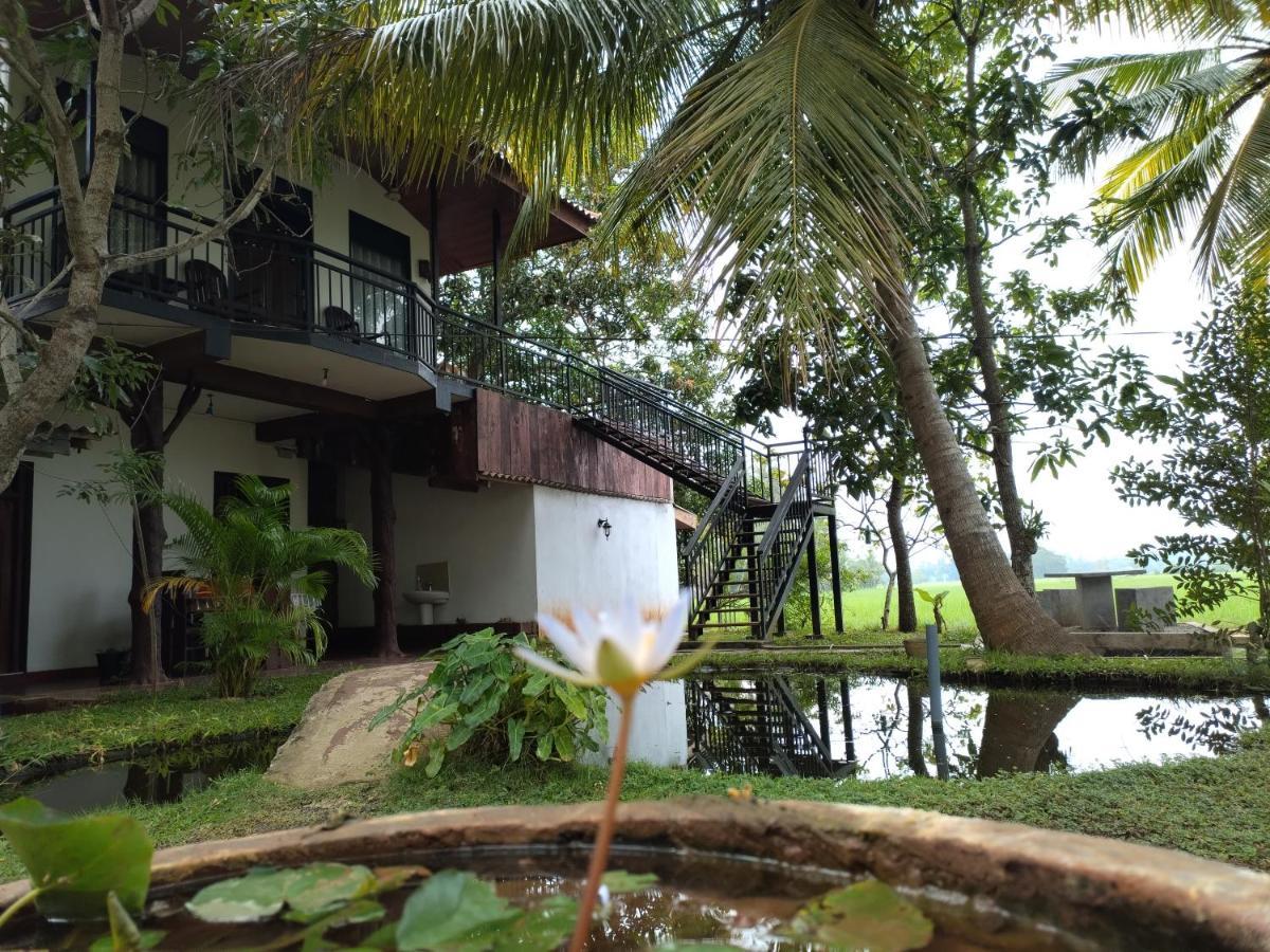 Hotel Village Mango Yala *