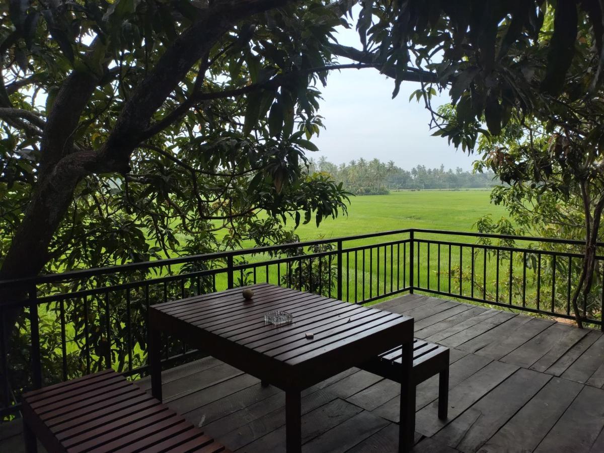 Hotel Village Mango Yala Tissamaharama