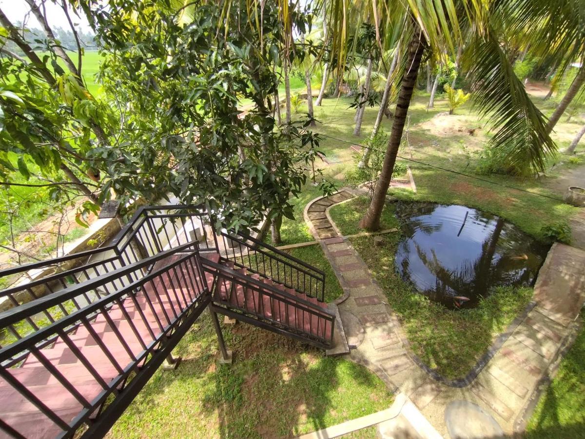 Village Mango Yala