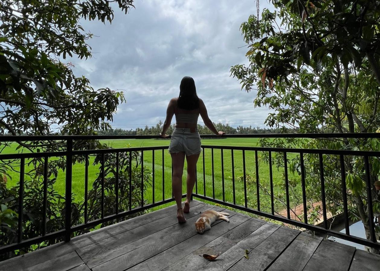 Village Mango Yala